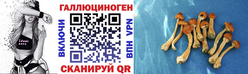 купить наркотики сайты  Нарьян-Мар  Псилоцибиновые грибы прущие грибы 